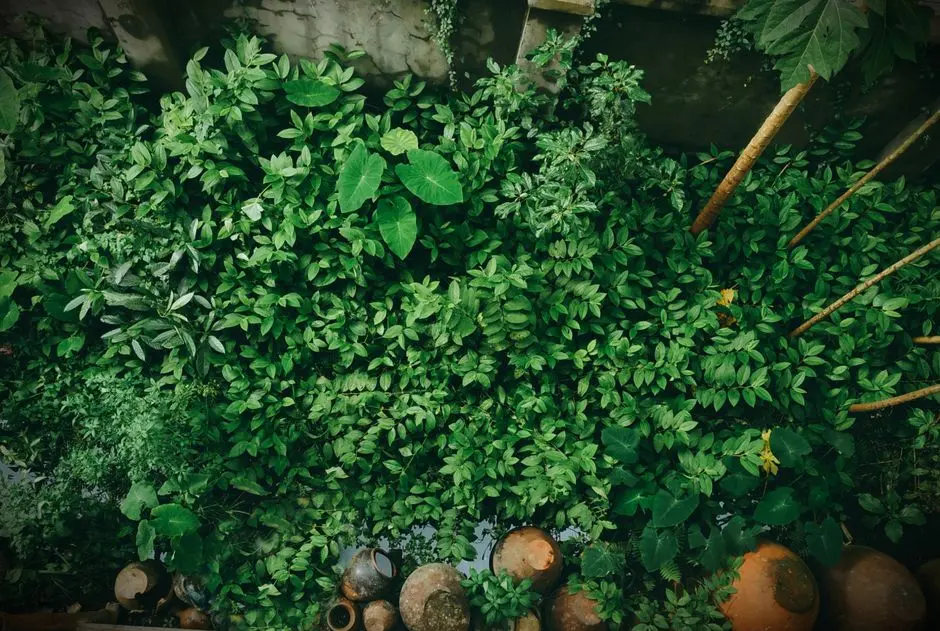 Greens & Outdoors at SUNTECK HILLVIEW 4, Vasai West, Mumbai