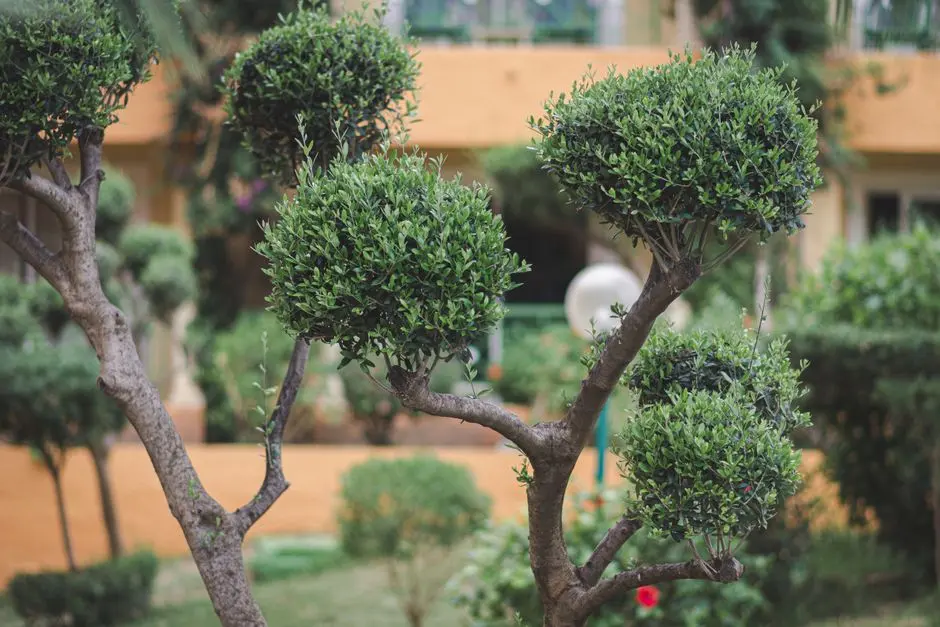 Greens & Outdoors at SUNTECK WEST WORLD, Naigaon East, Mumbai