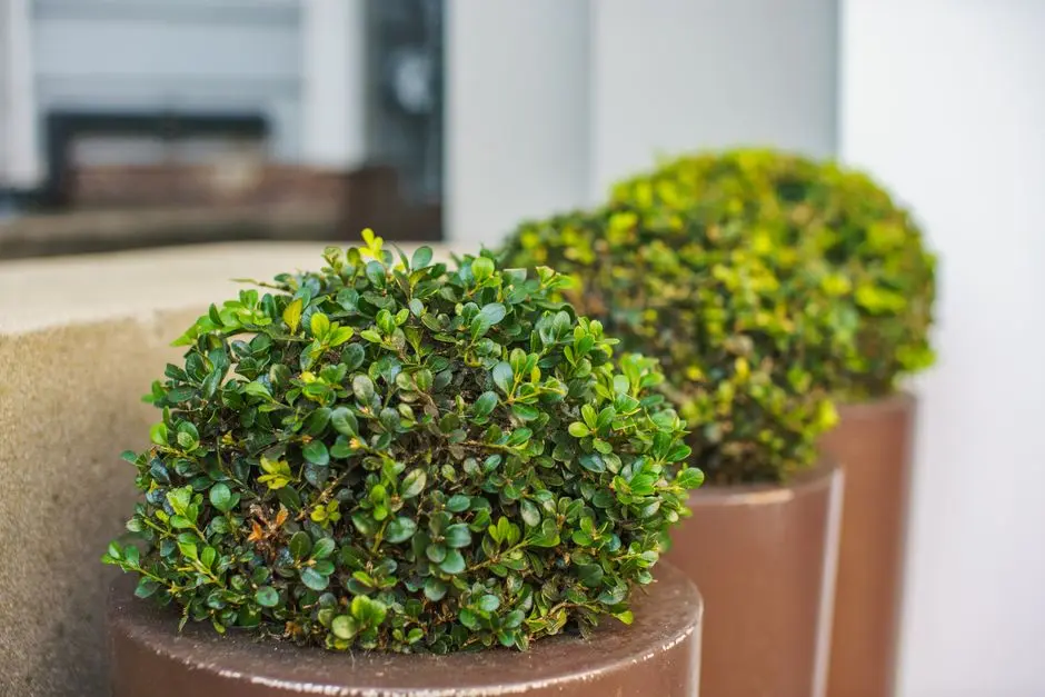 Greens & Outdoors at SUNTECK TIMES SQUARE, Navghar, Thane