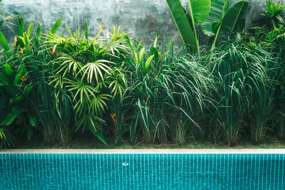 Greens & Outdoors at SUNTECK PINNACLE, Oshiwara District Centre (ODC), Mumbai