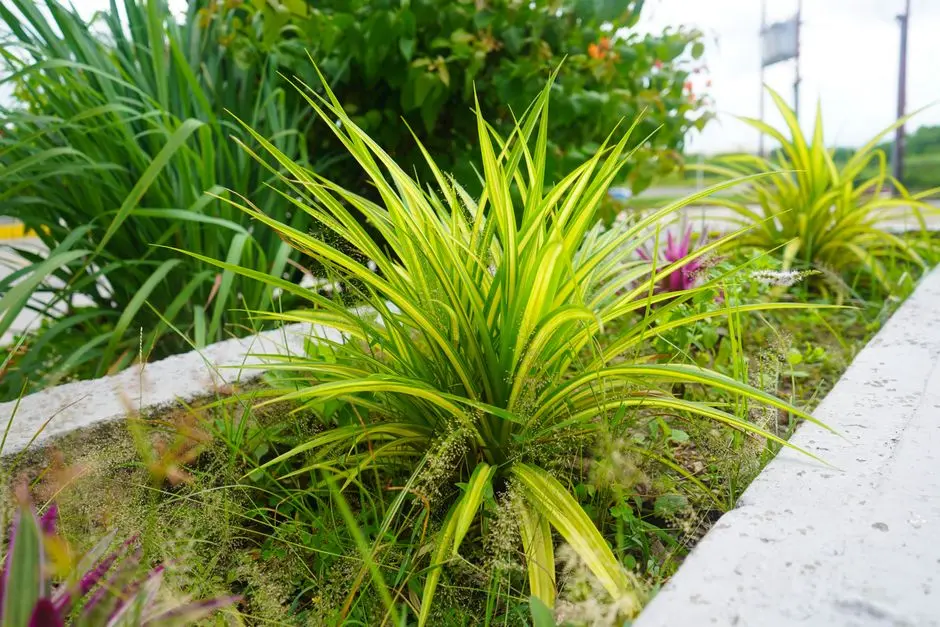 Greens & Outdoors at SUNTECK CREST, Andheri East, Mumbai