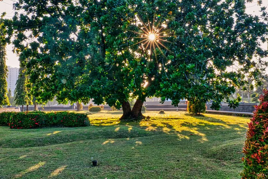 Greens & Outdoors at SUNTECK PARK KALYAN, Kalyan West, Thane
