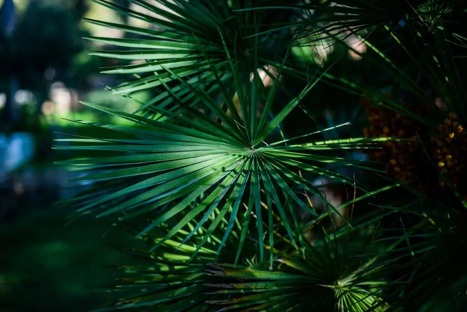 Greens & Outdoors at SUNTECK FORESTWORLD 4, Khativali, Thane