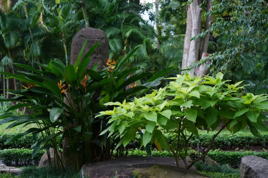 Greens & Outdoors at SUNTECK MIRA ROAD EAST MUMBAI, Mumbai